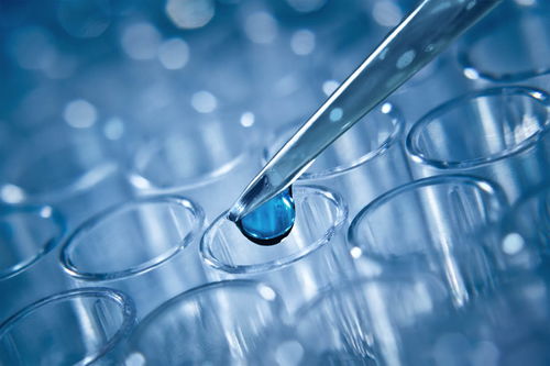 試管嬰兒技術詳解 一代、二代與三代的區別及其技術推廣服務